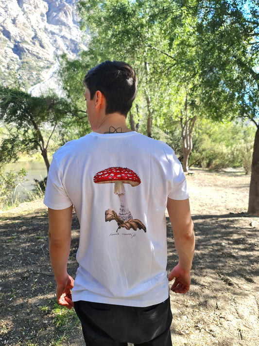 Polera del reino fungí  Amanita Muscaria blanca