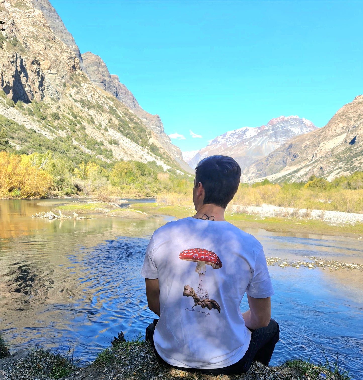 Polera del reino fungí  Amanita Muscaria blanca